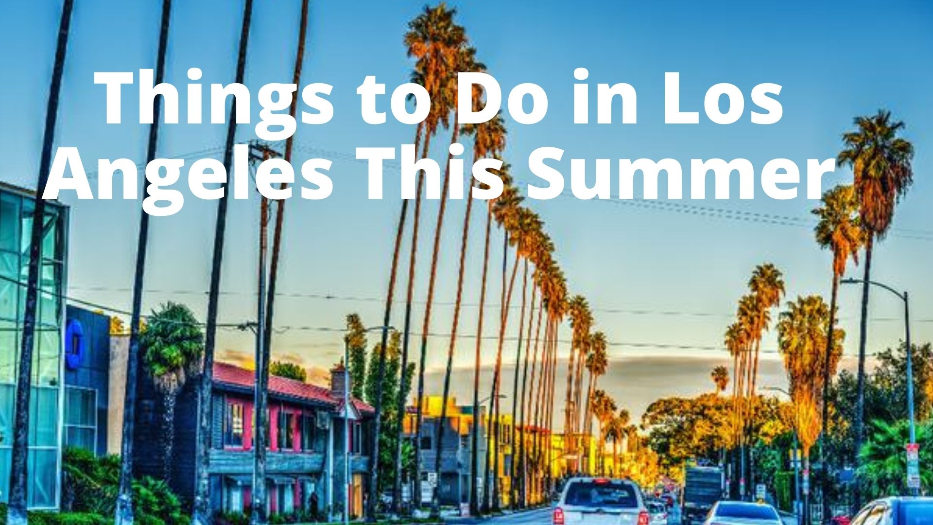 The Best Things To Do In Los Angeles